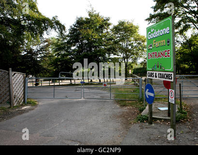 E Coli epidemia a livello di azienda Foto Stock