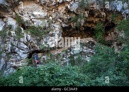 I turisti arrampicata in una grotta carsica denominata cono mogote, nei dintorni di Viñales, Valle di Viñales, Pinar del Río Provincia, Cuba Foto Stock