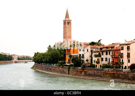 Sant Anastasia Basilica, Verona, Italia, Europa Foto Stock