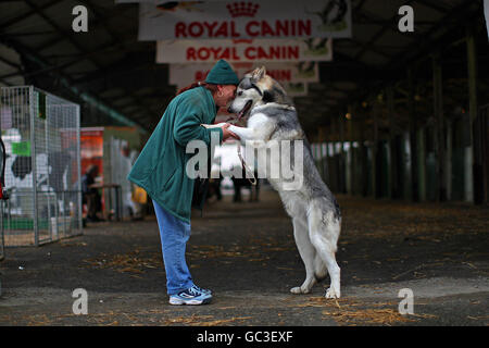 In Irlanda il Pet Expo 2009 Foto Stock