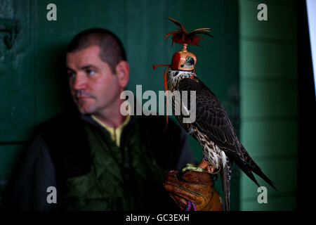In Irlanda il Pet Expo 2009 Foto Stock