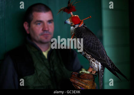 In Irlanda il Pet Expo 2009 Foto Stock