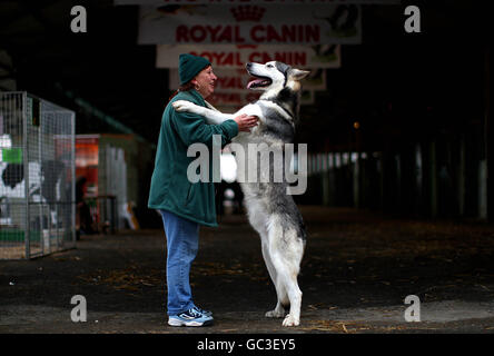 In Irlanda il Pet Expo 2009 Foto Stock