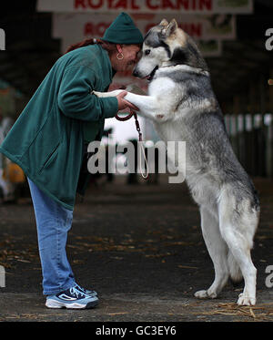 Sue Sutton con il suo cane Luna nei terreni della RDS Dublin durante PET Expo 2009 che mostra tutti i tipi di specie e prodotti. Foto Stock