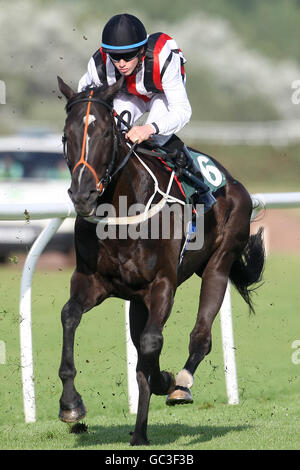 Horse Racing - serata estiva Racing - Musselburgh Racecourse Foto Stock