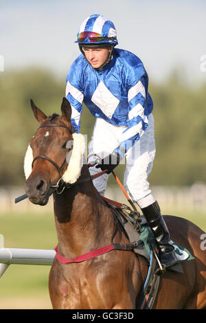 Horse Racing - serata estiva Racing - Musselburgh Racecourse Foto Stock