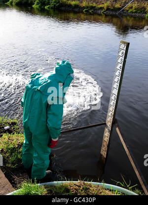 Un lavoratore dell'Agenzia dell'ambiente tratta il fiume Trent a Yoxhall, Staffordshire, dopo che è stato contaminato con acque reflue e cianuro non trattati. Foto Stock