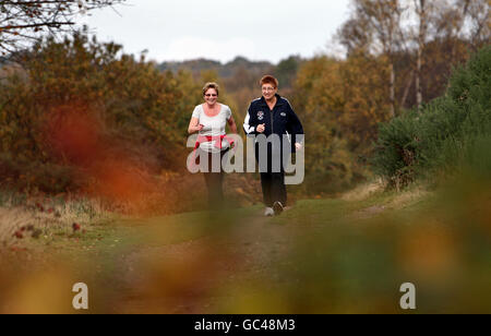 Tempo di autunno Foto Stock