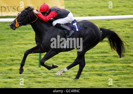 Horse Racing - Incontro finale venerdì - Newmarket Racecourse Foto Stock