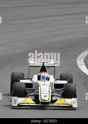 Rubens Barrichello della Brawn GP in azione durante il Gran Premio del Brasile a Interlagos, San Paolo. Foto Stock