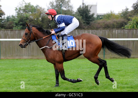 Corse di cavalli - Autunno Construction Day - Nottingham Racecourse Foto Stock