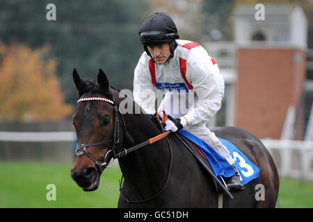 Rigetto guidato da jockey Kieron Fallon va a postare per Handicap sulla costruzione dei Moores Foto Stock