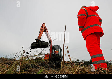 I membri della Commissione indipendente per la localizzazione delle vittime (ICLRC) esaminano i terreni utilizzando geofisica e digger dove si sospetta che i resti di Gerard Evans, provenienti da Armagh sud, siano sepolti, a Carrickrobin, Co Louth. Foto Stock