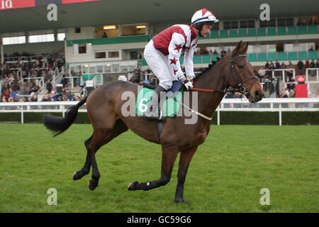 Horse Racing - Winter Warmer - Uttoxeter Racecourse Foto Stock