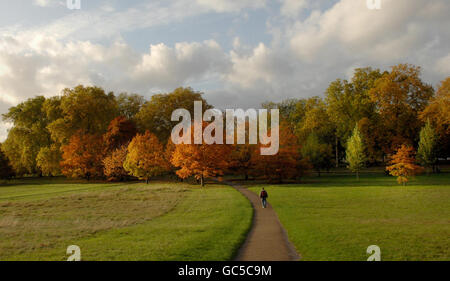 Tempo di autunno Foto Stock