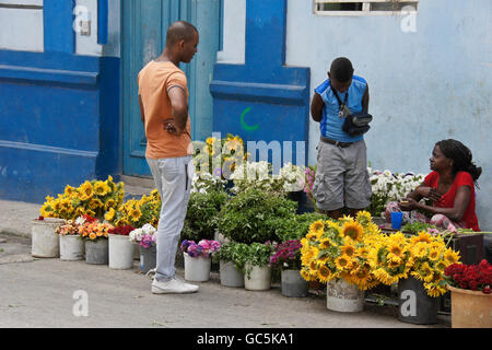 Venditore a vendere fiori freschi sulla strada di Cayo Hueso quartiere, Havana, Cuba Foto Stock