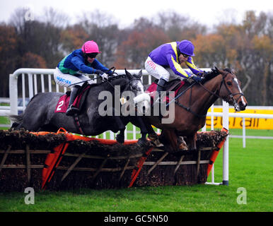 Horse Racing - nord ovest Racing Masters Betfair Chase - Ippodromo di Haydock Park Foto Stock