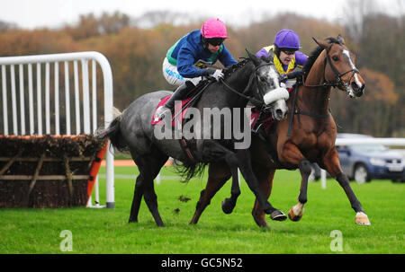 Horse Racing - nord ovest Racing Masters Betfair Chase - Ippodromo di Haydock Park Foto Stock