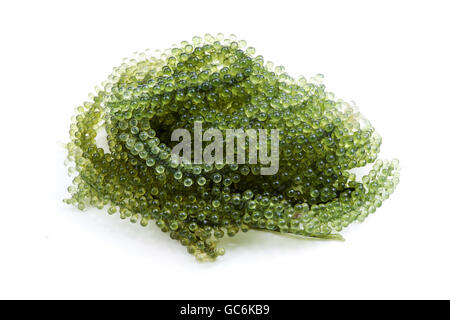 Mare di uve o di caviale verdi su sfondo bianco Foto Stock