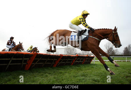Horse Racing - Leicester Racecourse Foto Stock