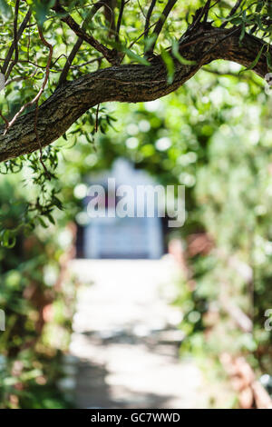 Arco di Willow Tree e porta a casa su sfondo sfocato Foto Stock