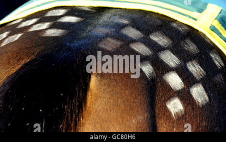 Horse Racing - Lingfield Racecourse Foto Stock