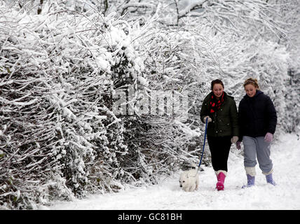 Due ragazze prendono il loro cane per una passeggiata dopo la caduta di neve durante la notte pesante in Worcester, come un fresco fiurry di neve durante la notte ha portato nuova miseria per i viaggiatori. Foto Stock