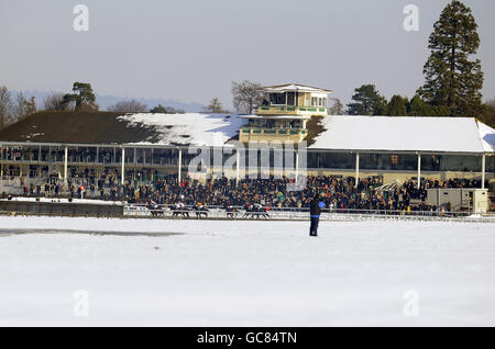 I corridori corrono oltre la tribuna verso il traguardo al Lingfield Racecourse, Lingfield. Foto Stock