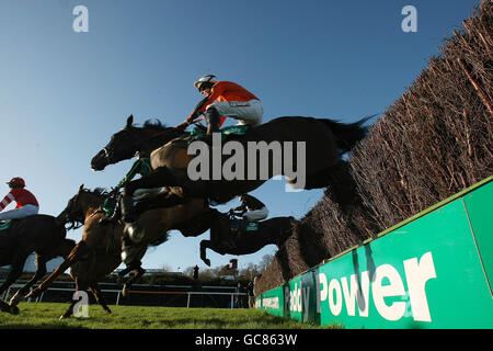 Horse Racing - Festa di Natale - Giorno 2 - Leopardstown Racecourse Foto Stock