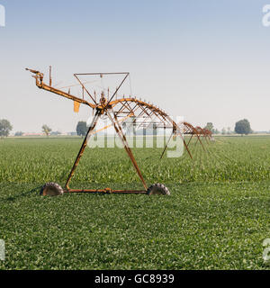 Il centro di rotazione del sistema di irrigazione Foto Stock