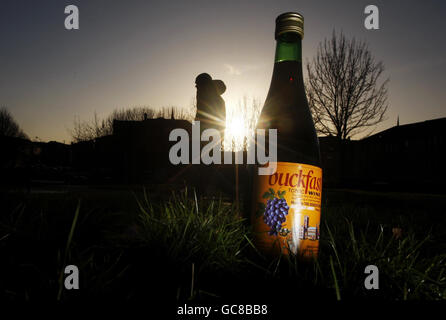 Buckfast vino indicato nel report di criminalità Foto Stock
