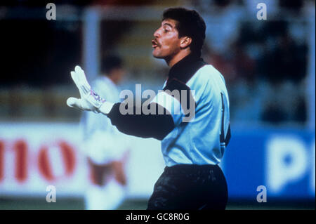 Calcio - Coppa del mondo FIFA Italia 1990 - Gruppo C - Svezia v Costa Rica - Stadio Luigi Ferraris, Genova. Luis Gabelo Conejo, portiere della Costa Rica Foto Stock