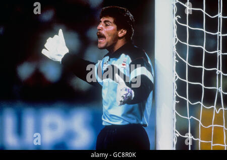 Calcio - Coppa del mondo FIFA Italia 1990 - Gruppo C - Svezia v Costa Rica - Stadio Luigi Ferraris, Genova. Luis Gabelo Conejo, portiere della Costa Rica Foto Stock