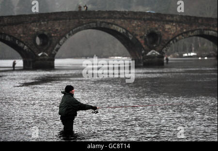 Salmone stagione inizia Foto Stock