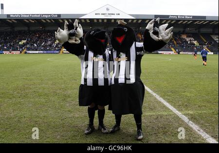 Calcio - FA Cup - quarto round - Notts County v Wigan Athletic - Meadow Lane Foto Stock