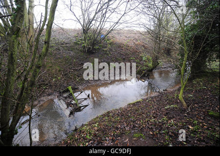 La zona boscosa vicino Edlington, South Yorks, dove un attacco a due bambini ha avuto luogo nell'aprile 2009. Immagine datata martedì 19 gennaio 2010. Foto Stock