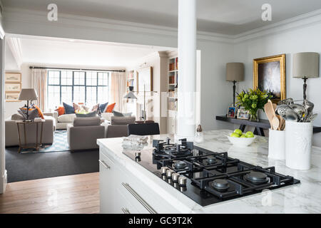 Aprire il piano cucina moderna progettato da Stepahnie Dunning nello spazio con crittal windows Foto Stock