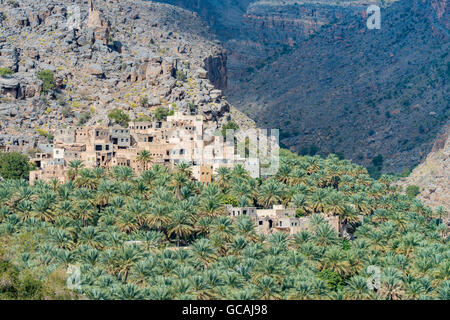 Villaggio di montagna di Misfat Al Abriyeen, arroccato sulle pareti di un profondo canyon. Il sultanato di Oman Foto Stock