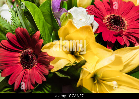 Con una rosa bianca e un fiore lilla Foto Stock
