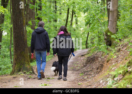 Giovane a piedi i loro due cani in foresta Foto Stock