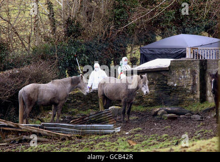 Uomo ucciso in Ulster Foto Stock