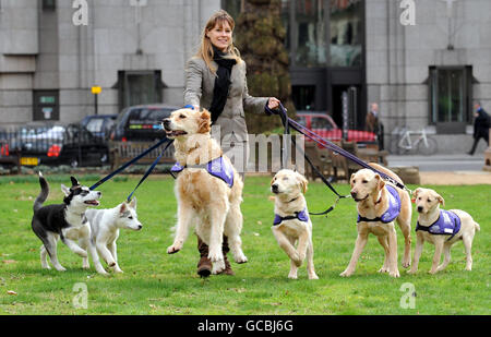 Il Crufts show 2010 lancio Foto Stock