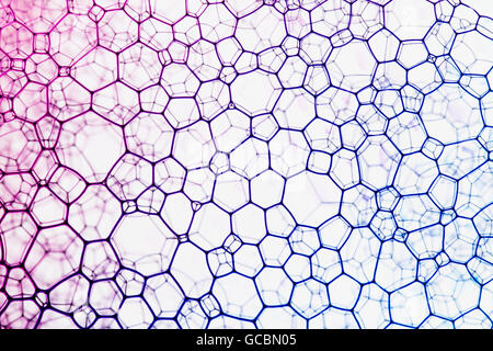 Blu e magenta inchiostro rosa scorre sopra e intorno alle bolle di sapone premuto contro il vetro, creazione astratta sfondo geometrico. Foto Stock