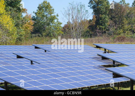 Pannello solare array su una luminosa giornata di sole nelle zone rurali del Nord Carolina. Foto Stock