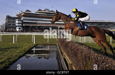 Sound Stage, guidato da Ian Popham, salta la barriera d'acqua prima di vincere l'Arkell's Brewery Novices' handicap Chase durante il West Berkshire Mencap Day all'ippodromo di Newbury, Newbury. Foto Stock