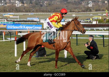 Corse di cavalli - Festival di Cheltenham 2010 - giorno uno. Amber Brook indovinato da Paddy Brennan in carica per l'ostacolo di David Nicholson Mares Foto Stock