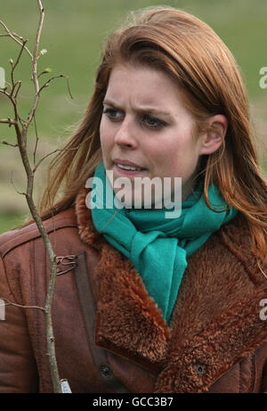 Principessa Beatrice di York durante una visita al Woodland Trust, alla Foresta di Heartwood a Sandridge, vicino a St Albans, Hertfordshire. Foto Stock