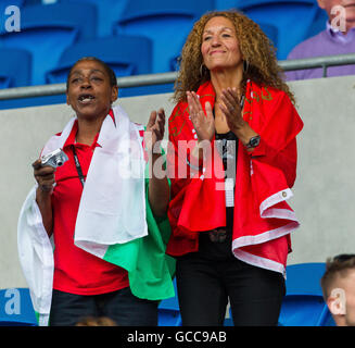 Cardiff City Stadium di Cardiff, Galles. 08 Luglio, 2016. Welsh mens squadra di calcio Homecoming evento dopo il successo dei loro Campionati Europei di calcio. Il Galles appassionati di godere l'atmosfera Credito: Azione Sport Plus/Alamy Live News Foto Stock