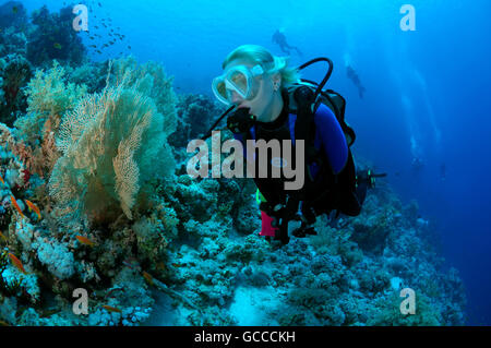 Mar Rosso, Egitto, Egitto. 3 Mar, 2016. Maschio di scuba diver guardando il plumbings sul relitto di Yolanda, Shark Yolanda Reef, il parco nazionale di Ras Mohammed, Sinai Sharm el-Sheikh, Mar Rosso, Egitto, Africa © Andrey Nekrasov/ZUMA filo/ZUMAPRESS.com/Alamy Live News Foto Stock