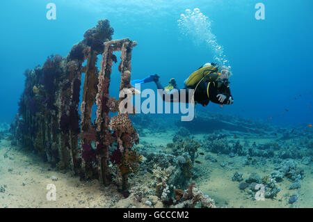 Mar Rosso, Egitto, Egitto. 3 Mar, 2016. Maschio sub a scheletro sul relitto di Yolanda, Shark Yolanda Reef, il parco nazionale di Ras Mohammed, Sinai Sharm el-Sheikh, Mar Rosso, Egitto, Africa © Andrey Nekrasov/ZUMA filo/ZUMAPRESS.com/Alamy Live News Foto Stock